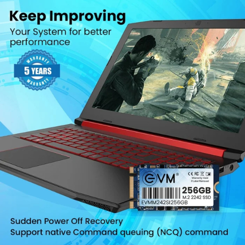 256GB M.2 2242 SATA III Internal Solid State Drive (SSD) EVM (2-Cut) - 520MB/s Read | 400MB/s Write | 3D NAND | Ultra-Compact High-Speed Storage