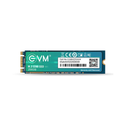 256GB M.2 2280 SATA III Internal Solid State Drive (SSD) EVM (2-Cut) – 550MB/s Read | 500MB/s Write | 3D NAND | Compact High-Speed Storage