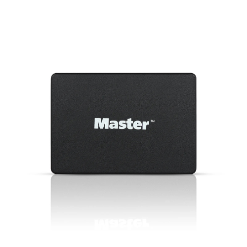 256GB Master Sata 2.5 Inch Ssd | High-Speed Solid State Drive with LDPC & ECC, TRIM Support, Low Power Consumption | 3-Year Warranty