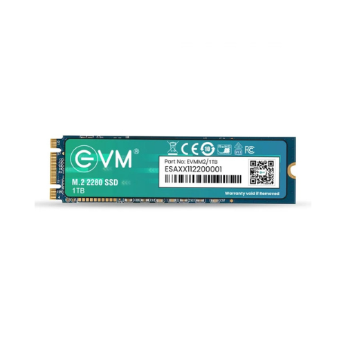 1TB M.2 2280 SATA III Internal Solid State Drive (SSD) EVM (2-Cut) – 550MB/s Read | 500MB/s Write | 3D NAND | High-Performance Compact Storage