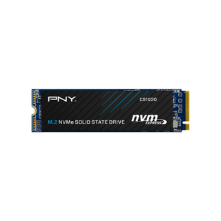 250GB M.2 2280 NVMe PCIe Gen 3×4 PNY SSD CS1030 (1-Cut) | Write Speed Up to 1,100 MB/s | Read Speed Up to 2,500 MB/s