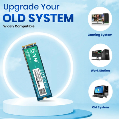 128GB M.2 2280 SATA III Internal Solid State Drive (SSD) EVM (2-Cut) – 550MB/s Read | 500MB/s Write | 3D NAND | Compact High-Speed Storage