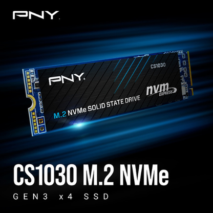 250GB M.2 2280 NVMe PCIe Gen 3×4 PNY SSD CS1030 (1-Cut) | Write Speed Up to 1,100 MB/s | Read Speed Up to 2,500 MB/s