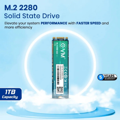 1TB M.2 2280 SATA III Internal Solid State Drive (SSD) EVM (2-Cut) – 550MB/s Read | 500MB/s Write | 3D NAND | High-Performance Compact Storage
