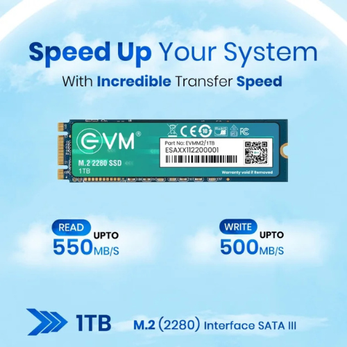 1TB M.2 2280 SATA III Internal Solid State Drive (SSD) EVM (2-Cut) – 550MB/s Read | 500MB/s Write | 3D NAND | High-Performance Compact Storage