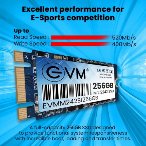 256GB M.2 2242 SATA III Internal Solid State Drive (SSD) EVM (2-Cut) - 520MB/s Read | 400MB/s Write | 3D NAND | Ultra-Compact High-Speed Storage