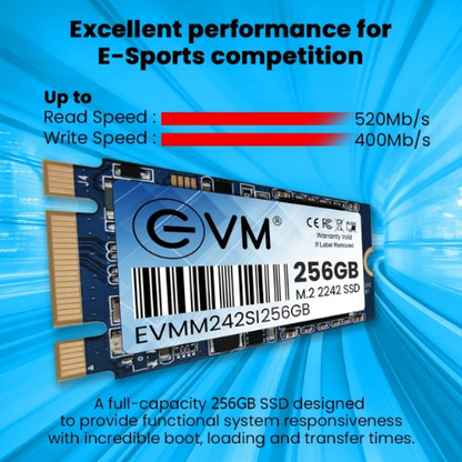 256GB M.2 2242 SATA III Internal Solid State Drive (SSD) EVM (2-Cut) - 520MB/s Read | 400MB/s Write | 3D NAND | Ultra-Compact High-Speed Storage