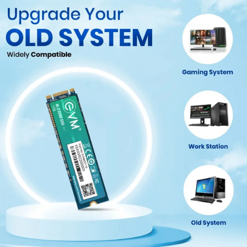 1TB M.2 2280 SATA III Internal Solid State Drive (SSD) EVM (2-Cut) – 550MB/s Read | 500MB/s Write | 3D NAND | High-Performance Compact Storage