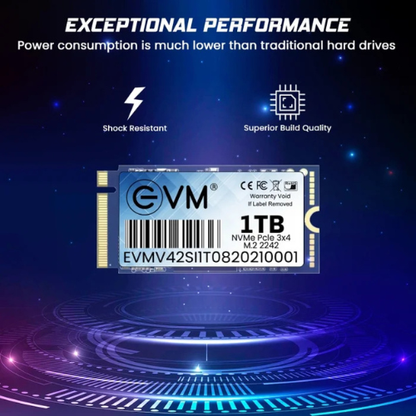 1TB M.2 2242 PCIe Gen 3×4 NVMe 2242 SSD EVM (1-Cut) – 2100MB/s Read | 1900MB/s Write | 3D TLC NAND | Ultra-Compact High-Speed Drive