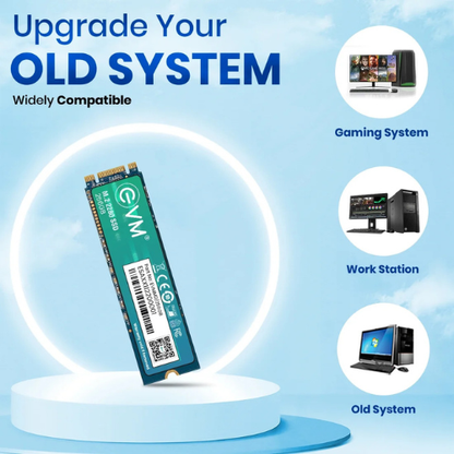256GB M.2 2280 SATA III Internal Solid State Drive (SSD) EVM (2-Cut) – 550MB/s Read | 500MB/s Write | 3D NAND | Compact High-Speed Storage