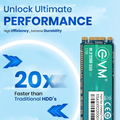1TB M.2 2280 SATA III Internal Solid State Drive (SSD) EVM (2-Cut) – 550MB/s Read | 500MB/s Write | 3D NAND | High-Performance Compact Storage