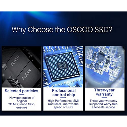 256GB Oscoo mSATA SSD OM600 (1-Cut) – SATA III Internal Solid State Drive