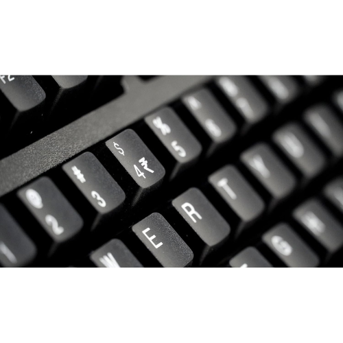 TVS Electronics Gold Prime Mechanical Wired Keyboard | Dustproof Mechanical Key Switches | 50 Million Keystrokes | 1.5M USB Cable | USB Gold Keyboard (Black)