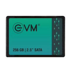 256Gb Ssd EVM 2.5 Inch Sata